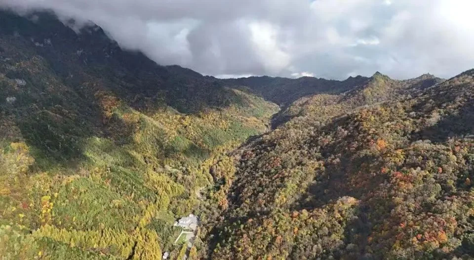 谁说秋天只有凋零?紫柏山两日游攻略来了!