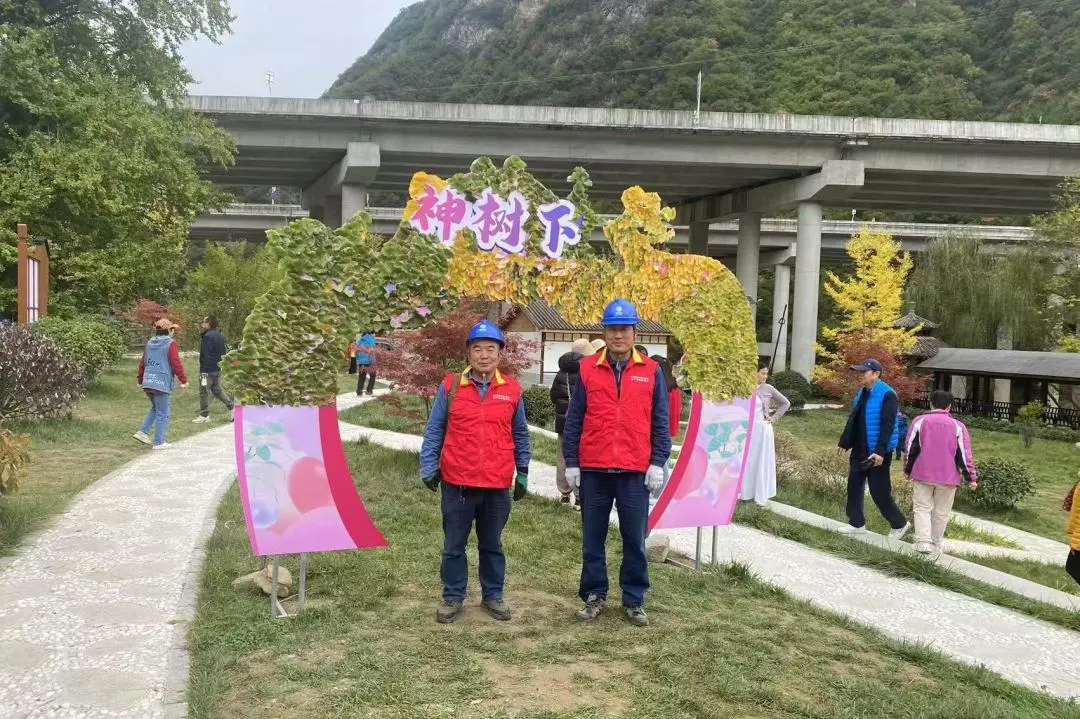 “枫”景这边独好 电靓多彩金秋