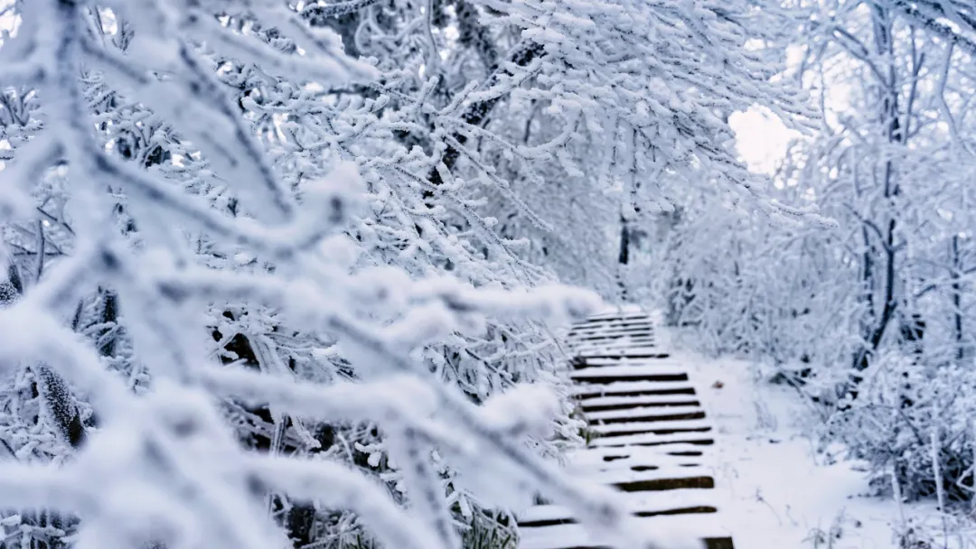 人气火,经济旺!汉中高颜值冰雪出圈→