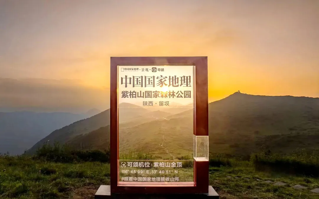 上半场，稳中有进向新向好！