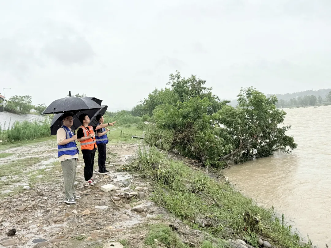 连续暴雨!汉台143人安全转移的背后