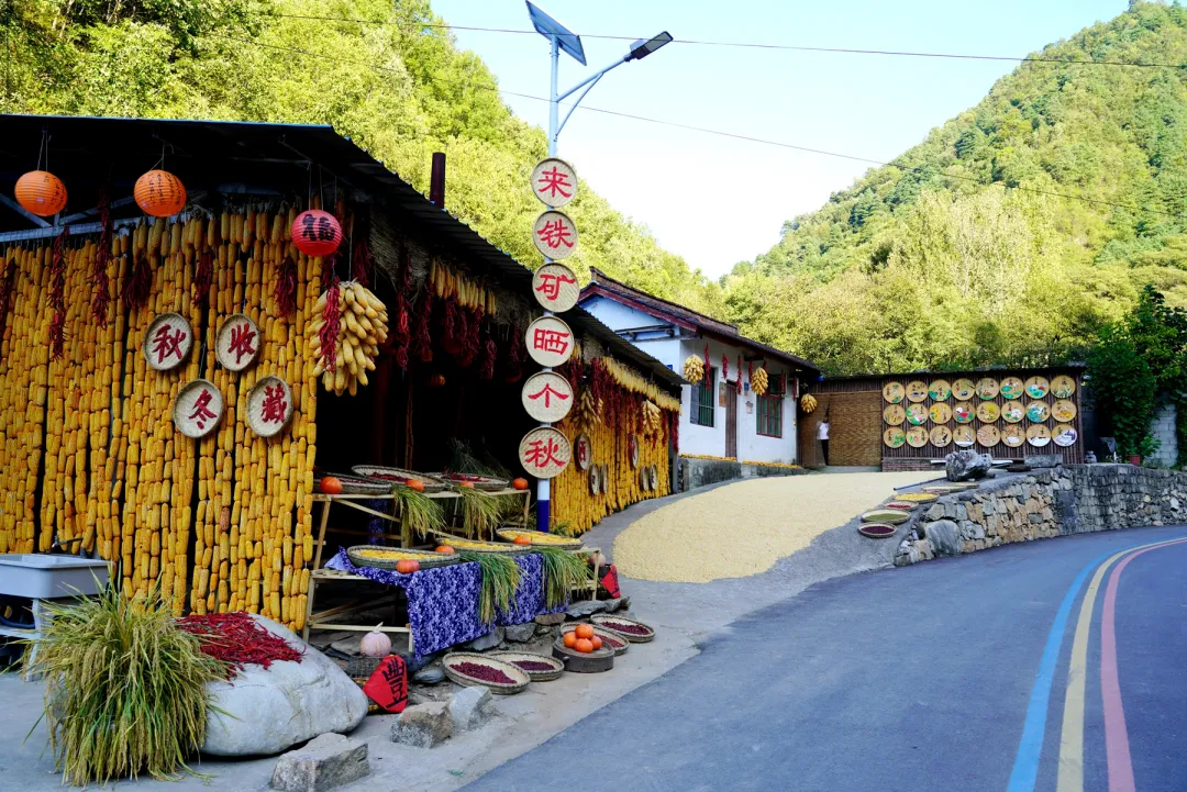 留坝：以乡村美学重塑乡土 激活振兴内生动力