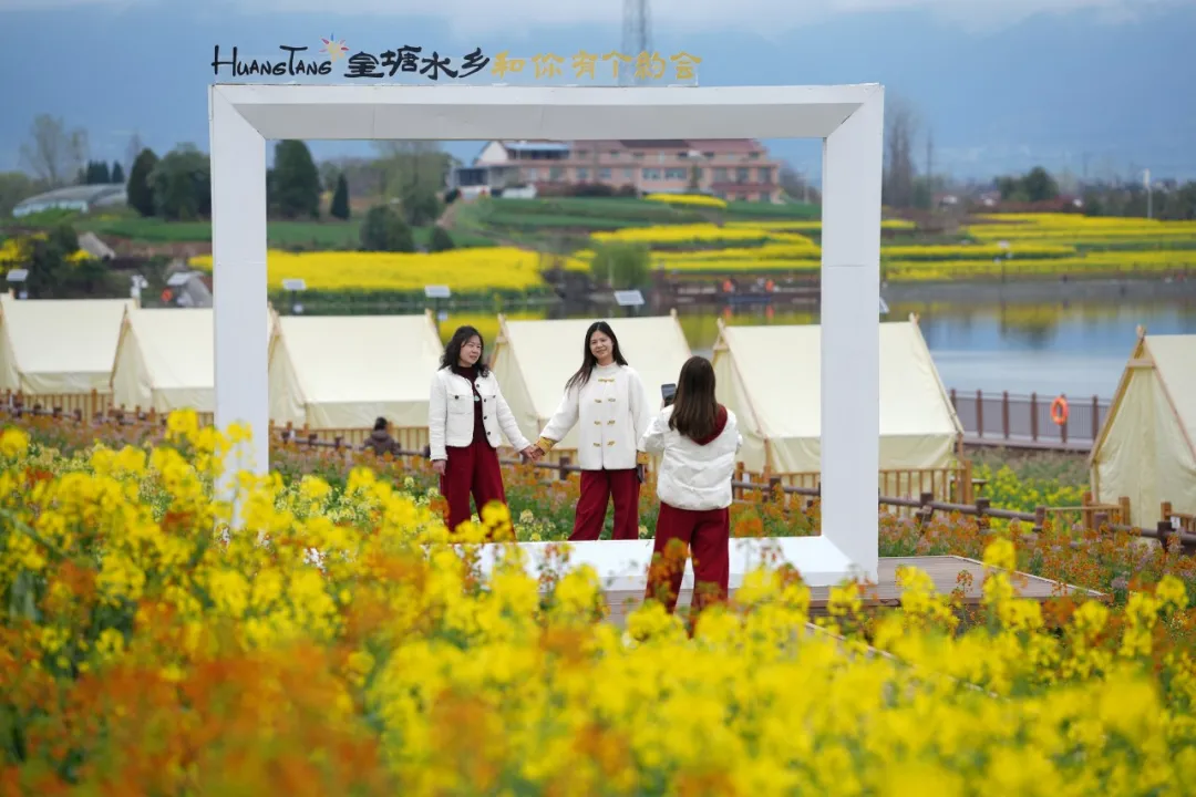 2026最美油菜花海汉中旅游文化节盛大启幕