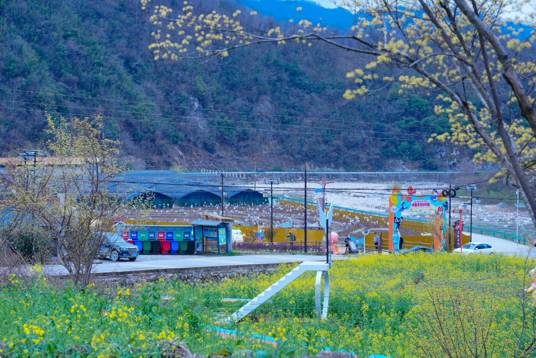 佛坪春日漫之旅：雪山缀金黄，烟火伴清欢，这才是春天该有的样子