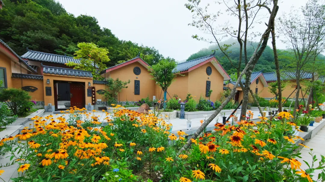 20℃云雾仙境,藏在宁强的夏日避暑秘境