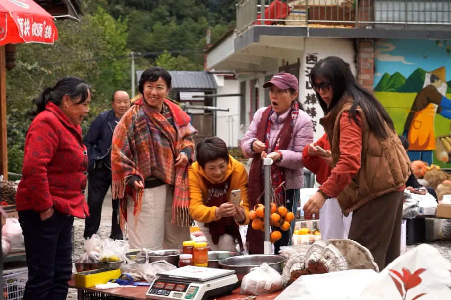 留坝：以乡村美学重塑乡土 激活振兴内生动力