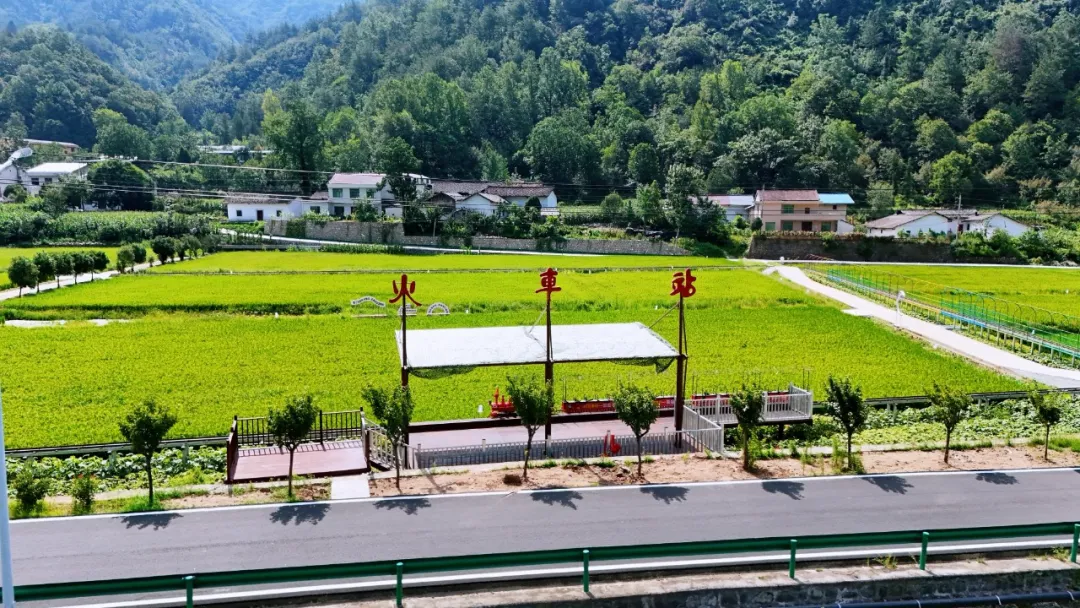 垂钓、逛展、追音乐… 陈家坝稻田音乐季，承包你的周末快乐！