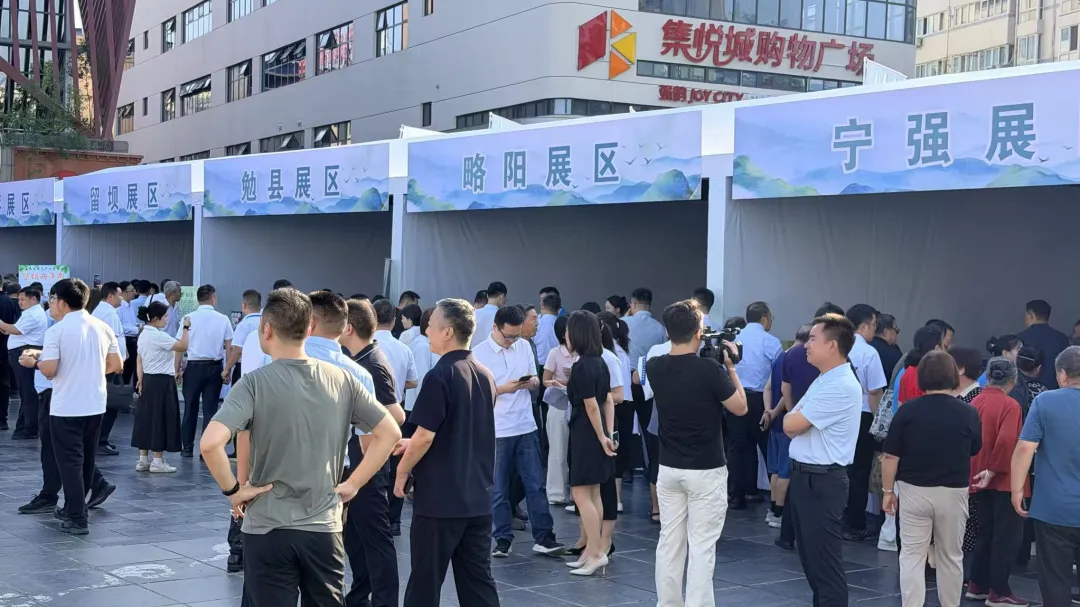 深化苏陕协作 共促产业振兴——汉中市县域特色生态产品展销会在宁强举办