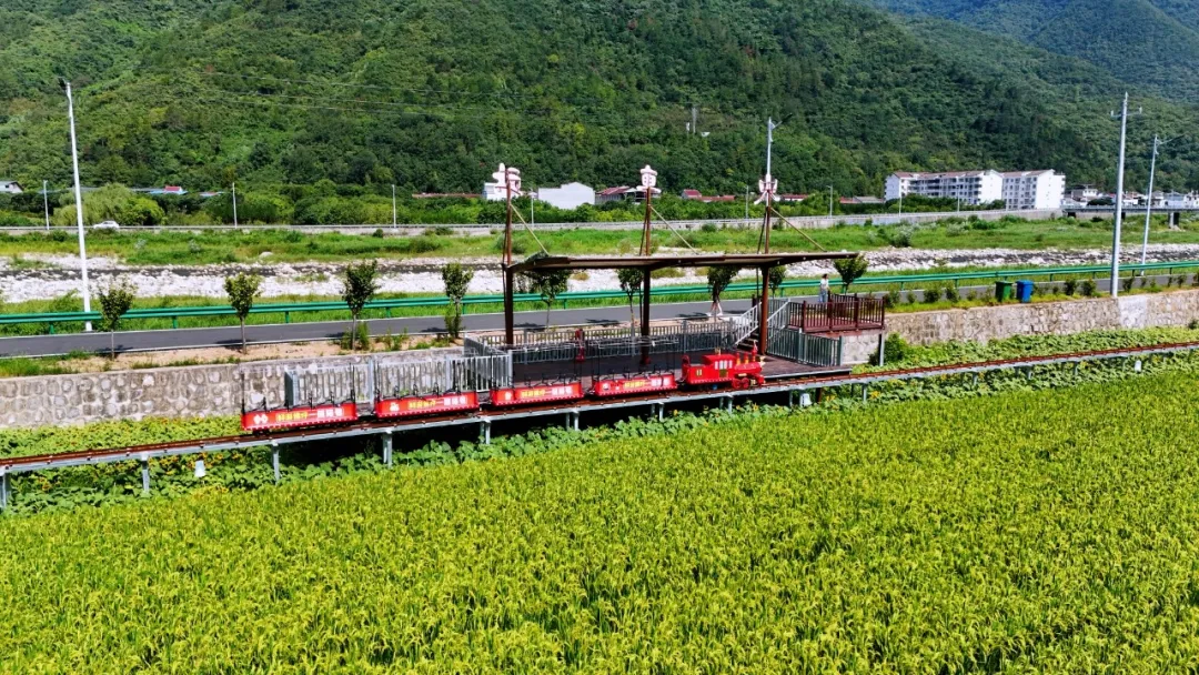 垂钓、逛展、追音乐… 陈家坝稻田音乐季，承包你的周末快乐！