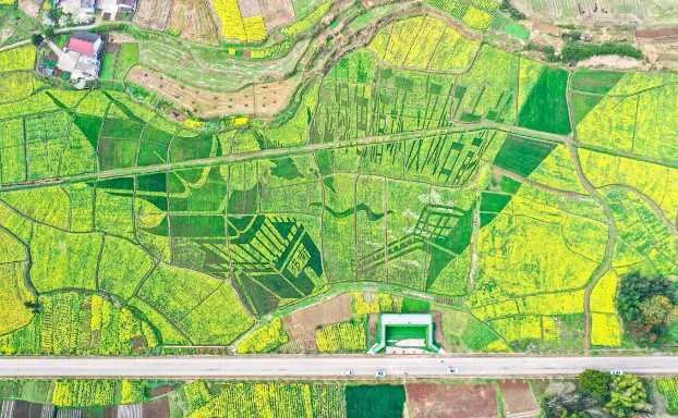 2023中国最美油菜花海汉中旅游文化节推介发布会在西安举行