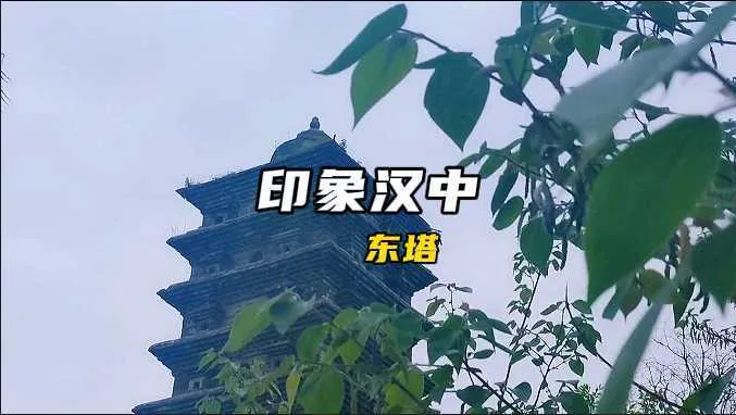 陕西天汉·丝路花海景区开园仪式隆重举行