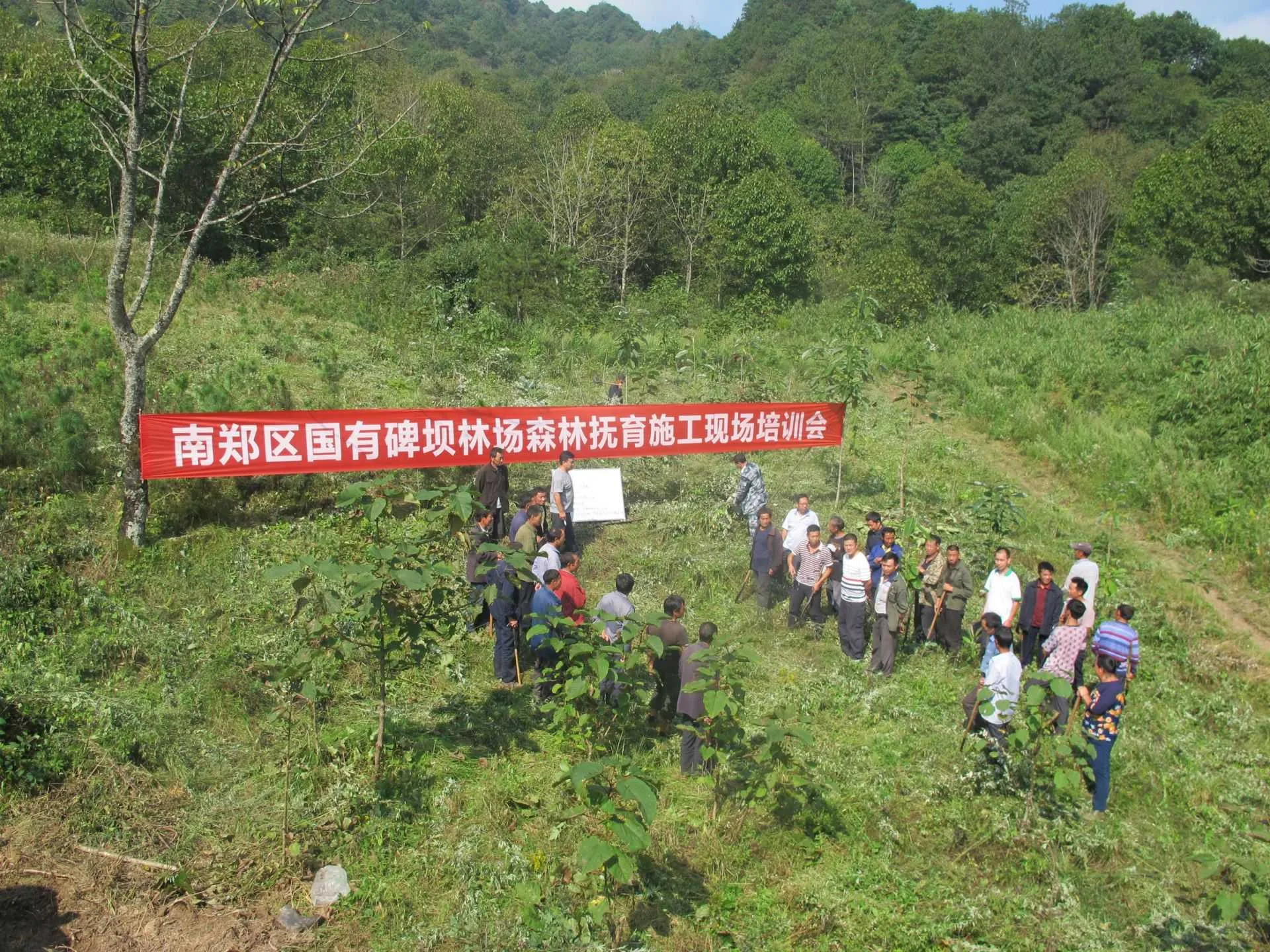 国家级荣誉!汉中这个林场入选→