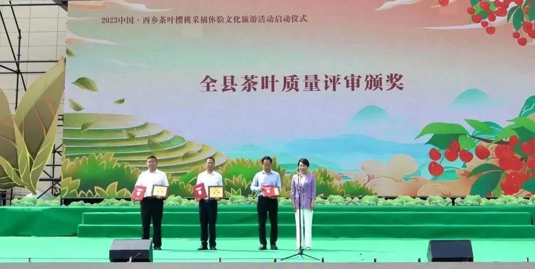 西乡茶叶樱桃采摘体验文化旅游活动启动