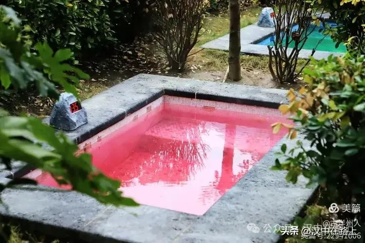 春节不远游！汉中这几个地方嗨翻天