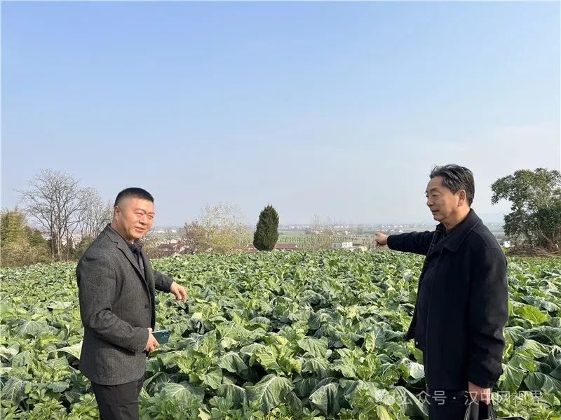 李振峰:仰望宝山
