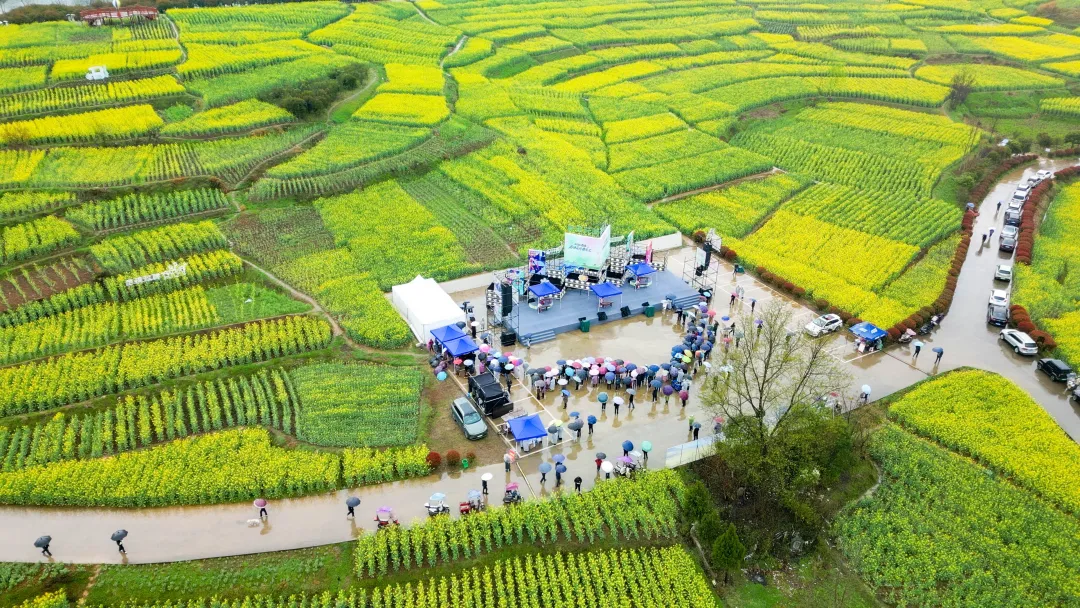 “春律花间音乐汇”暨最美油菜花海西乡春季文旅消费季活动雨中浪漫启幕