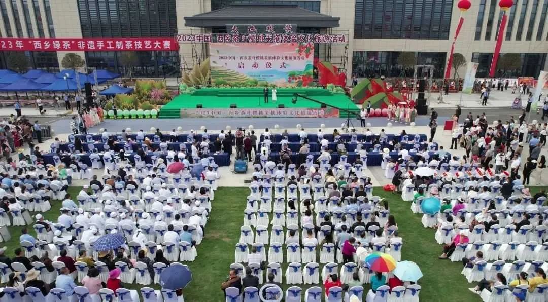 西乡茶叶樱桃采摘体验文化旅游活动启动