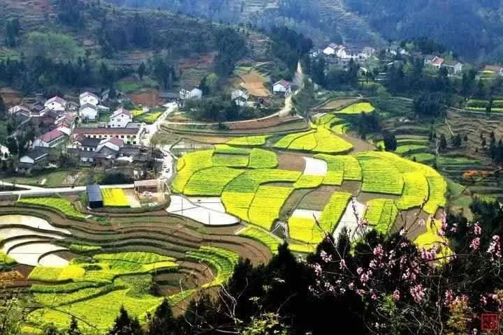 汉中市观赏石宝玉石协会文化采风纪实