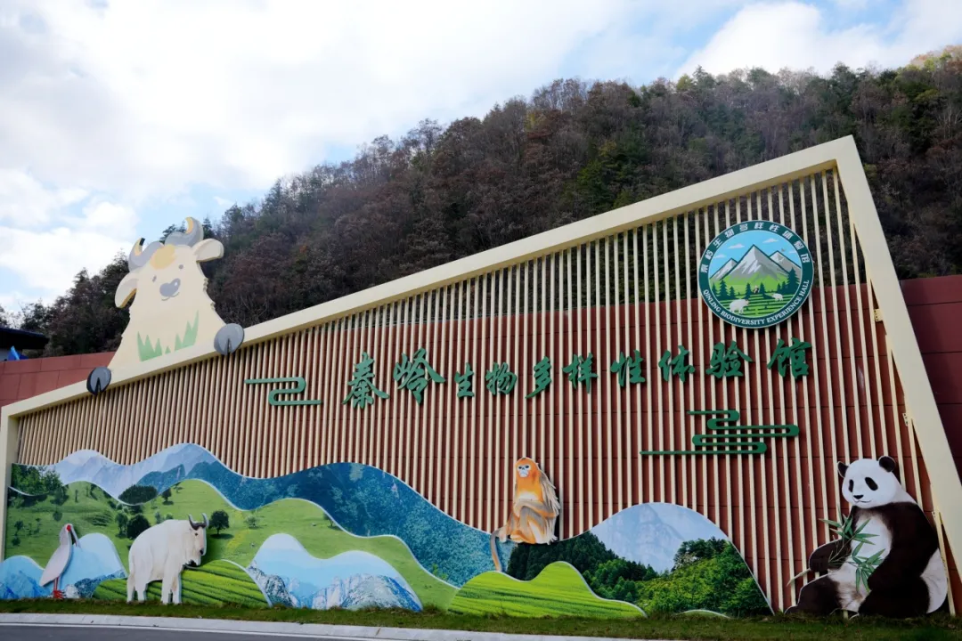 留坝新名片！感官全开，趣游秦岭