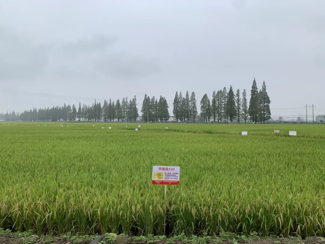 全国180余名专家齐聚汉中