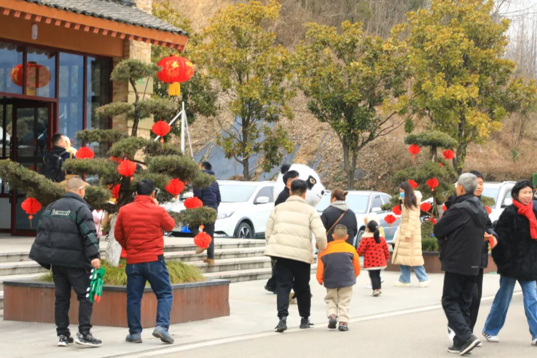 新年第一天，洋县长青华阳景区迎来蛇年开门红~