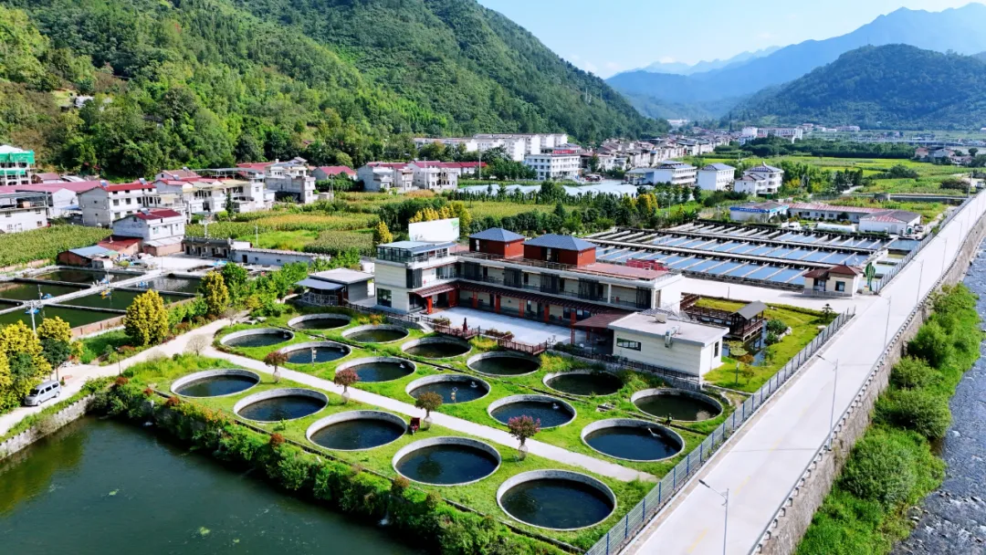 垂钓、逛展、追音乐… 陈家坝稻田音乐季，承包你的周末快乐！