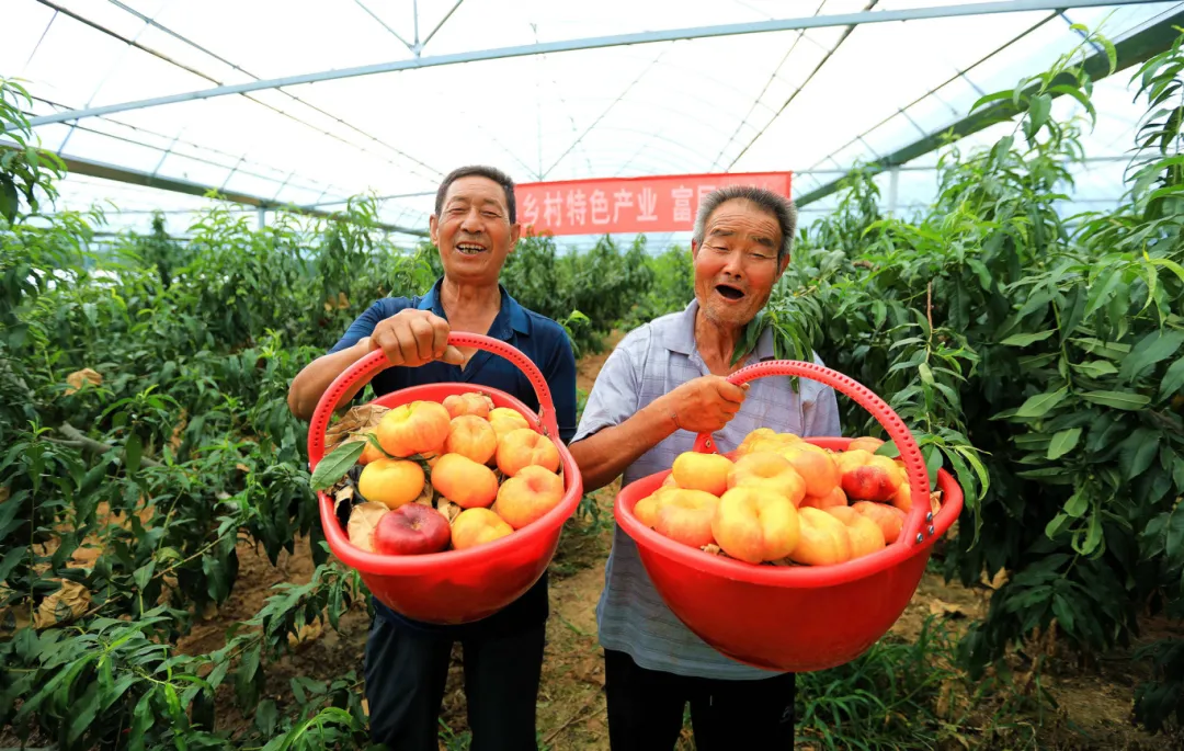 汉台:“擂台比武”亮实绩 “以赛促干”助振兴