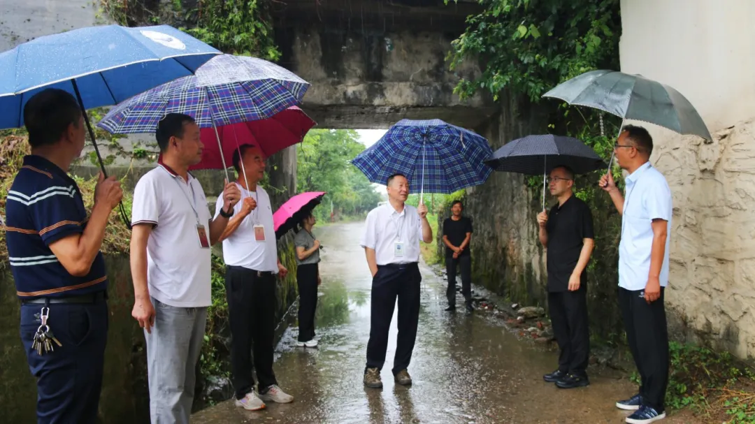 汉台铺镇人大履职尽责推动民生实事项目落地见效