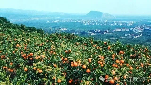 李振峰:仰望宝山