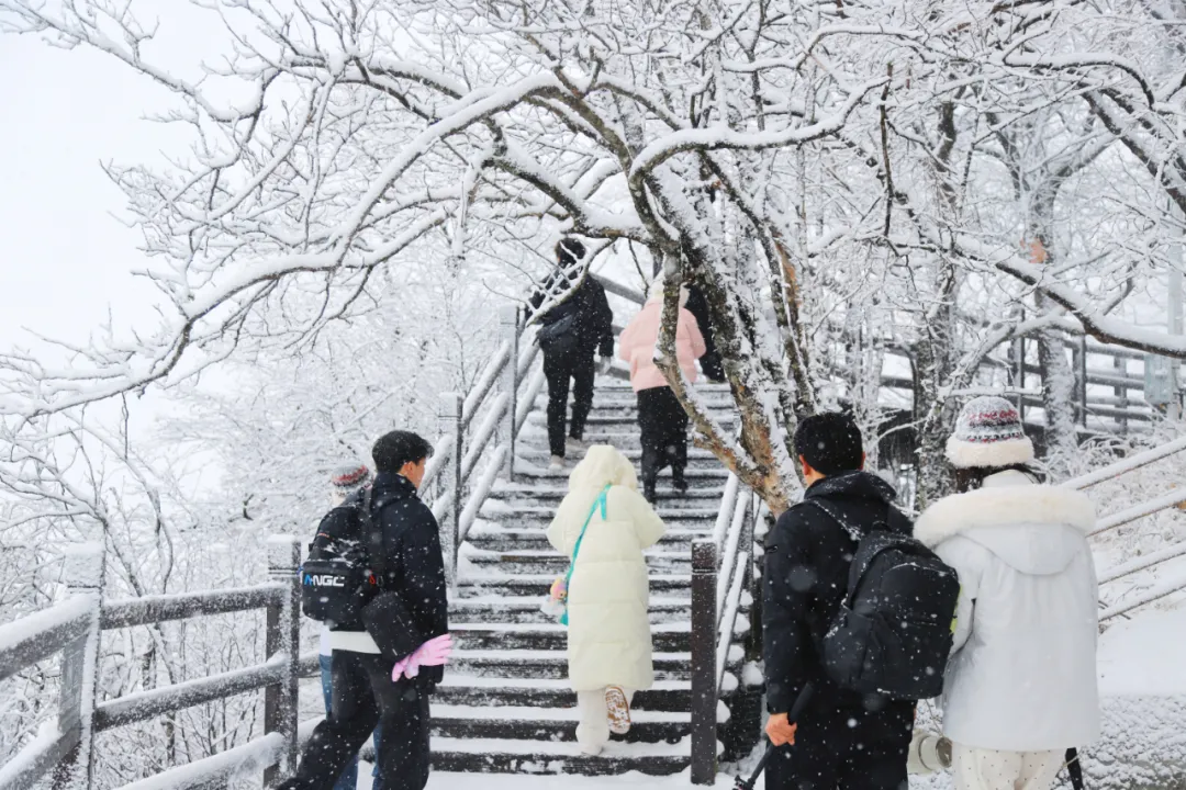 汉中龙头山人潮涌动！元旦假期迎来开门红