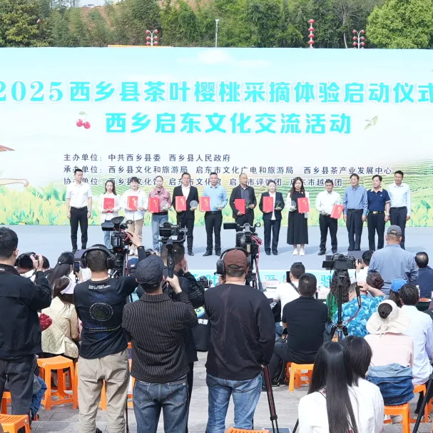 西乡县举行2025茶叶樱桃采摘体验活动暨西乡—启东文化交流活动