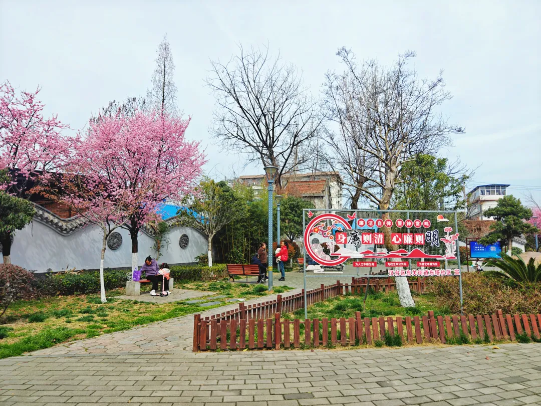 口袋公园：靓了城市，美了生活，暖了人心