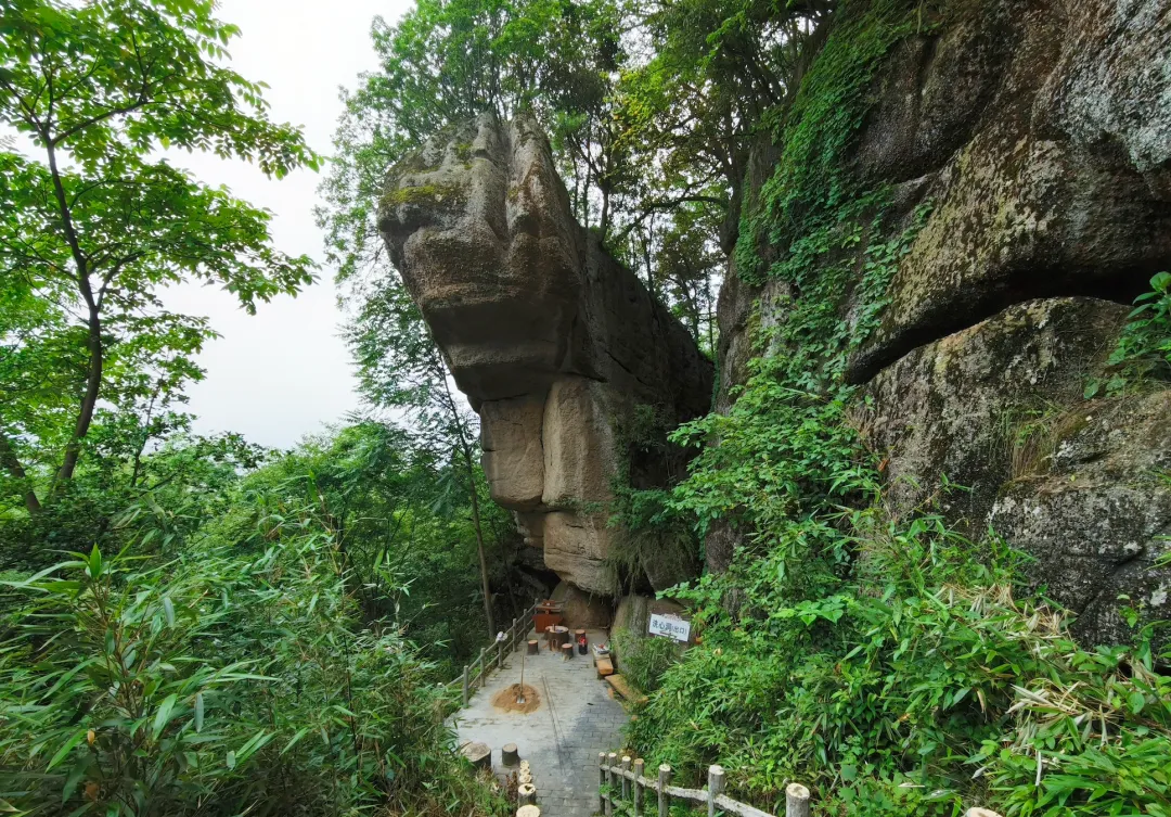 20℃云雾仙境,藏在宁强的夏日避暑秘境
