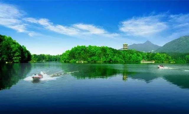 聚焦“旅居在汉中”!这场网上新闻发布会说了啥?