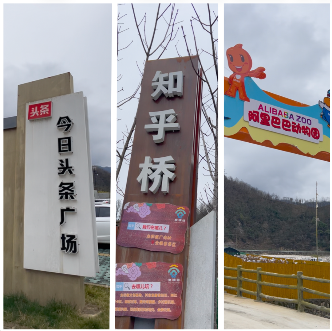 佛坪春日漫之旅：雪山缀金黄，烟火伴清欢，这才是春天该有的样子