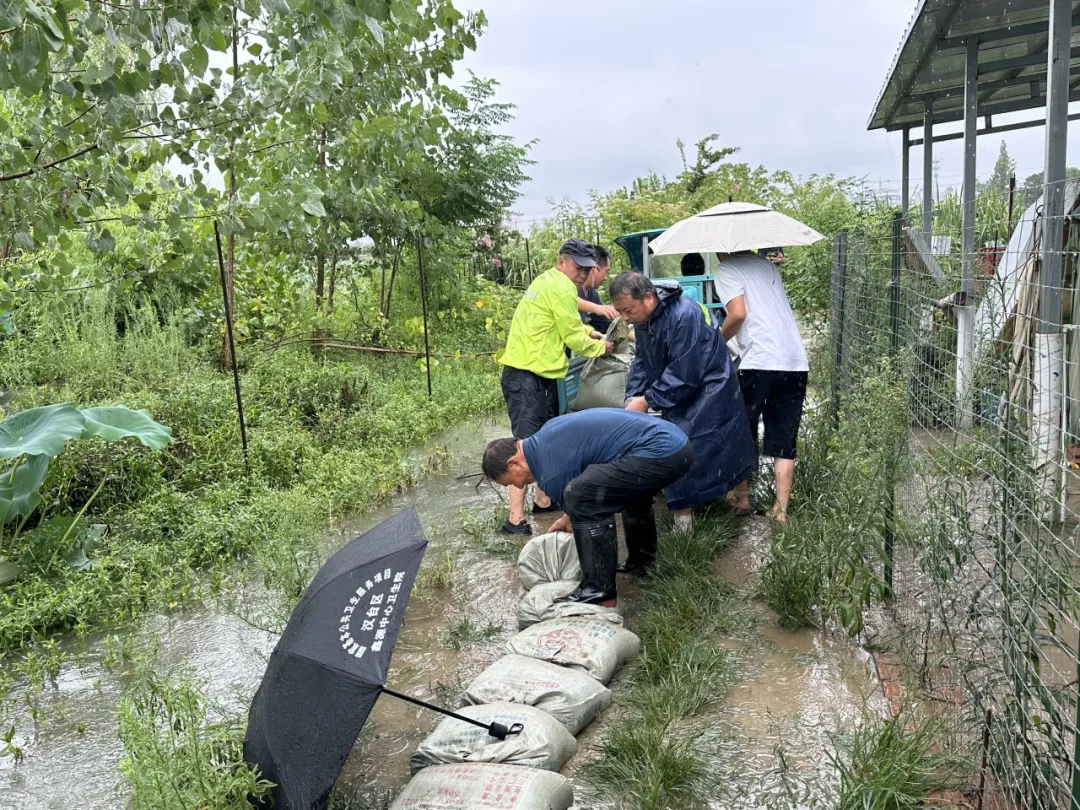 徒手清淤、扛袋筑堤！他们与暴雨赛跑