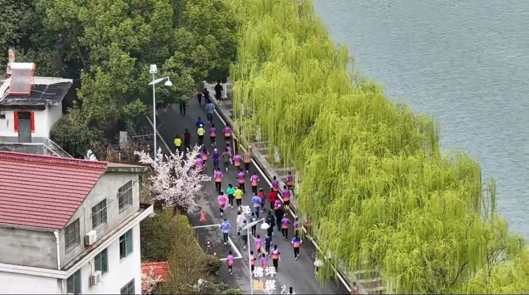 花海为媒 奔跑迎春!2026佛坪茱萸花海踏春跑活动活力开跑