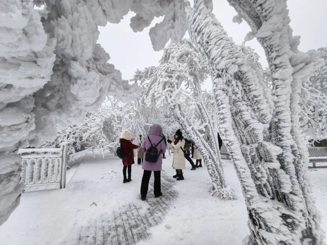 人气火,经济旺!汉中高颜值冰雪出圈→