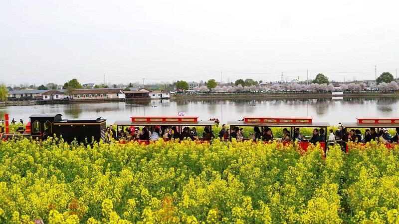 2025最美油菜花海汉中春季文旅消费季汉台系列活动启动