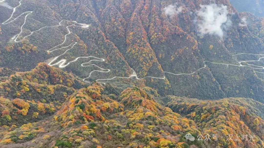汉中龙头山：云雾裹着秋景，像是在彩林间画了层渐变。