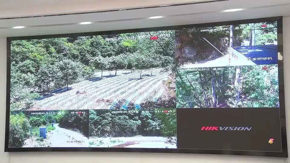 17只羚牛首度同框!揭秘秦岭24小时→