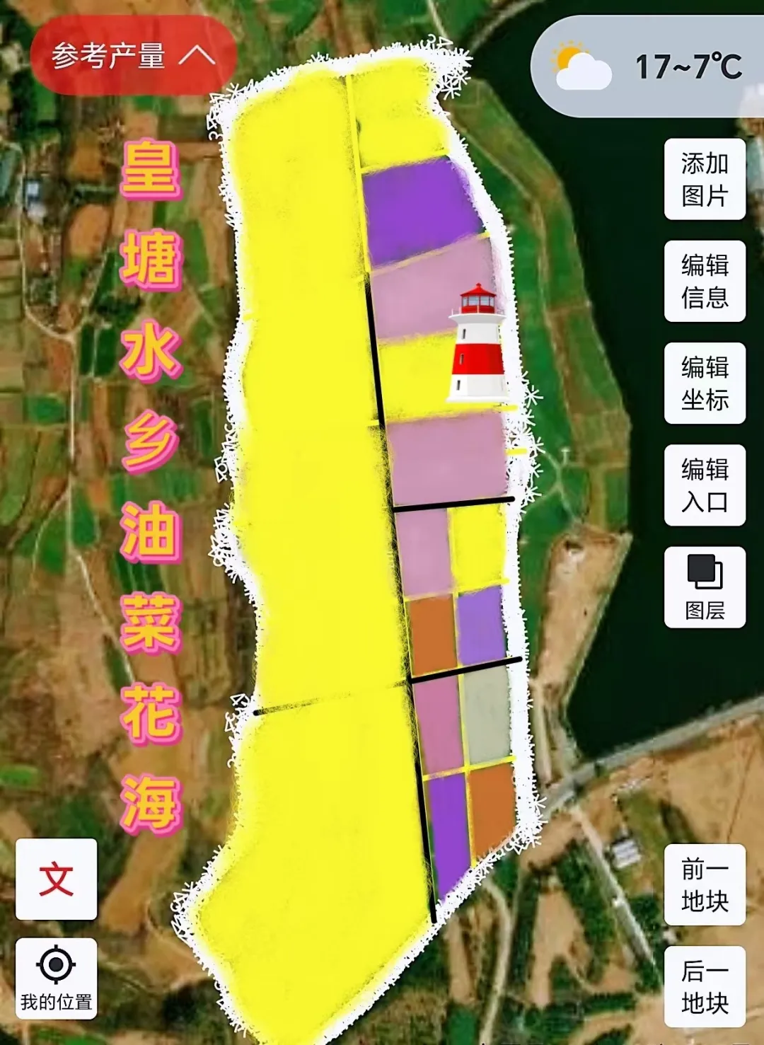 汉台新增200亩彩色油菜花种植面积！打造新景观→