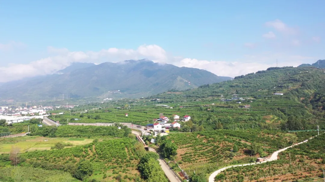 汉台电视新闻 | 花果村:农旅融合助力乡村振兴