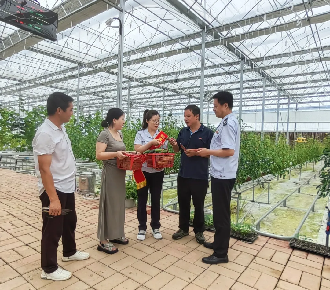 汉台税务:税惠赋能 助力汉台农业“瓜果飘香”