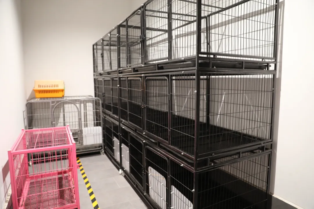 兴汉胜境景区“十大免费服务”大揭秘！薅到就是赚到！