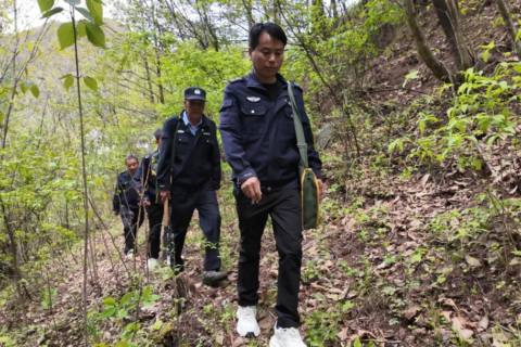 踏遍9943公顷山林！汉中这12名“看树人”被国家表彰！