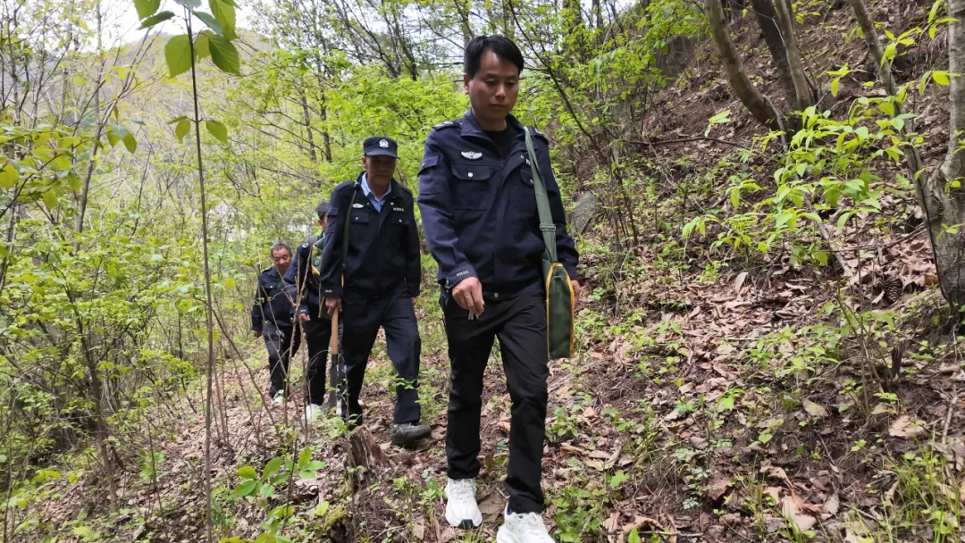 踏遍9943公顷山林！汉中这12名“看树人”被国家表彰！