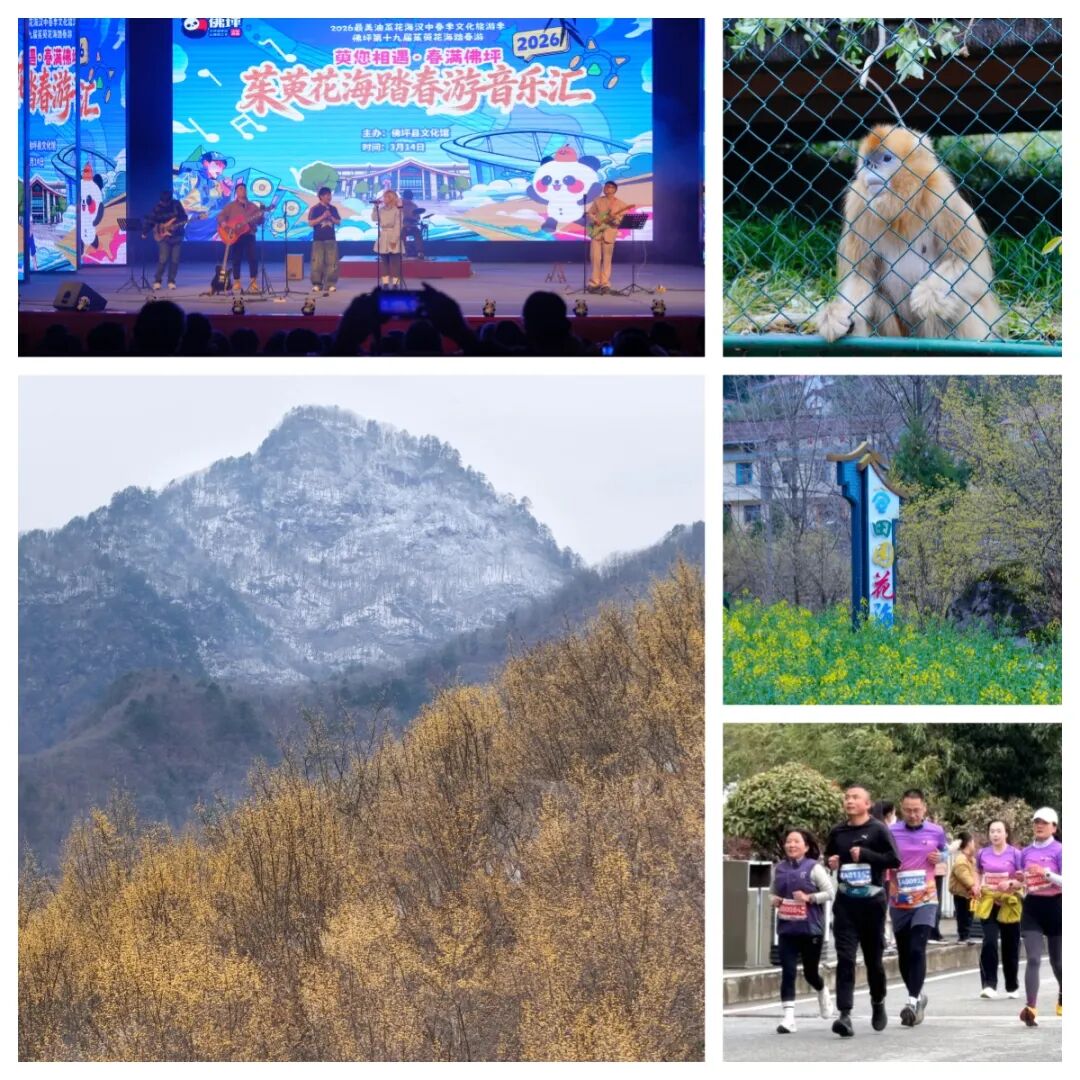 佛坪春日漫之旅：雪山缀金黄，烟火伴清欢，这才是春天该有的样子