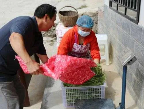 下饭神器！“留坝网红”达人饶春燕制作辣酱月售500罐