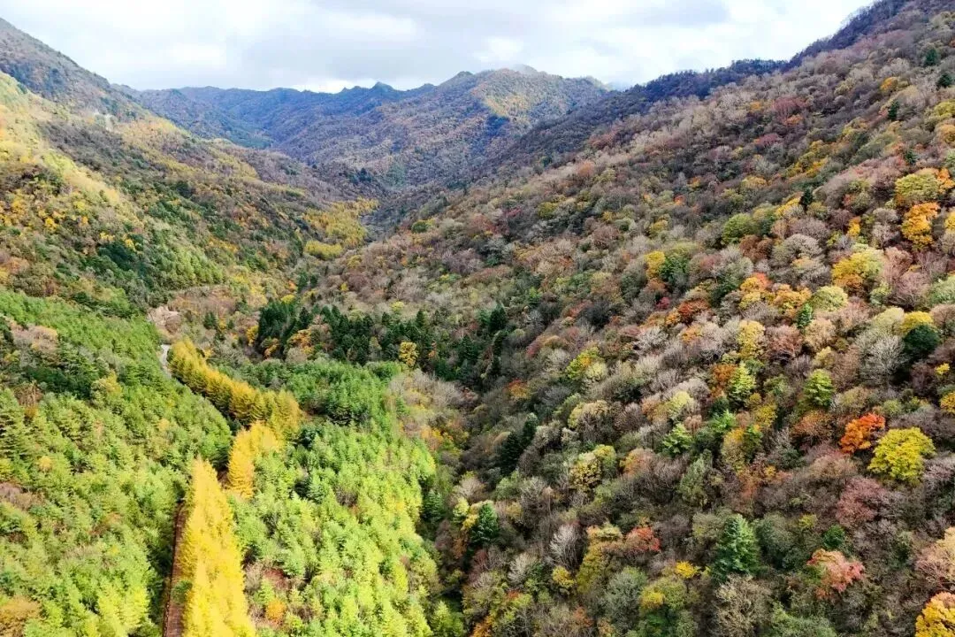跻身全国TOP5！留坝上榜国庆旅游黑马目的地→